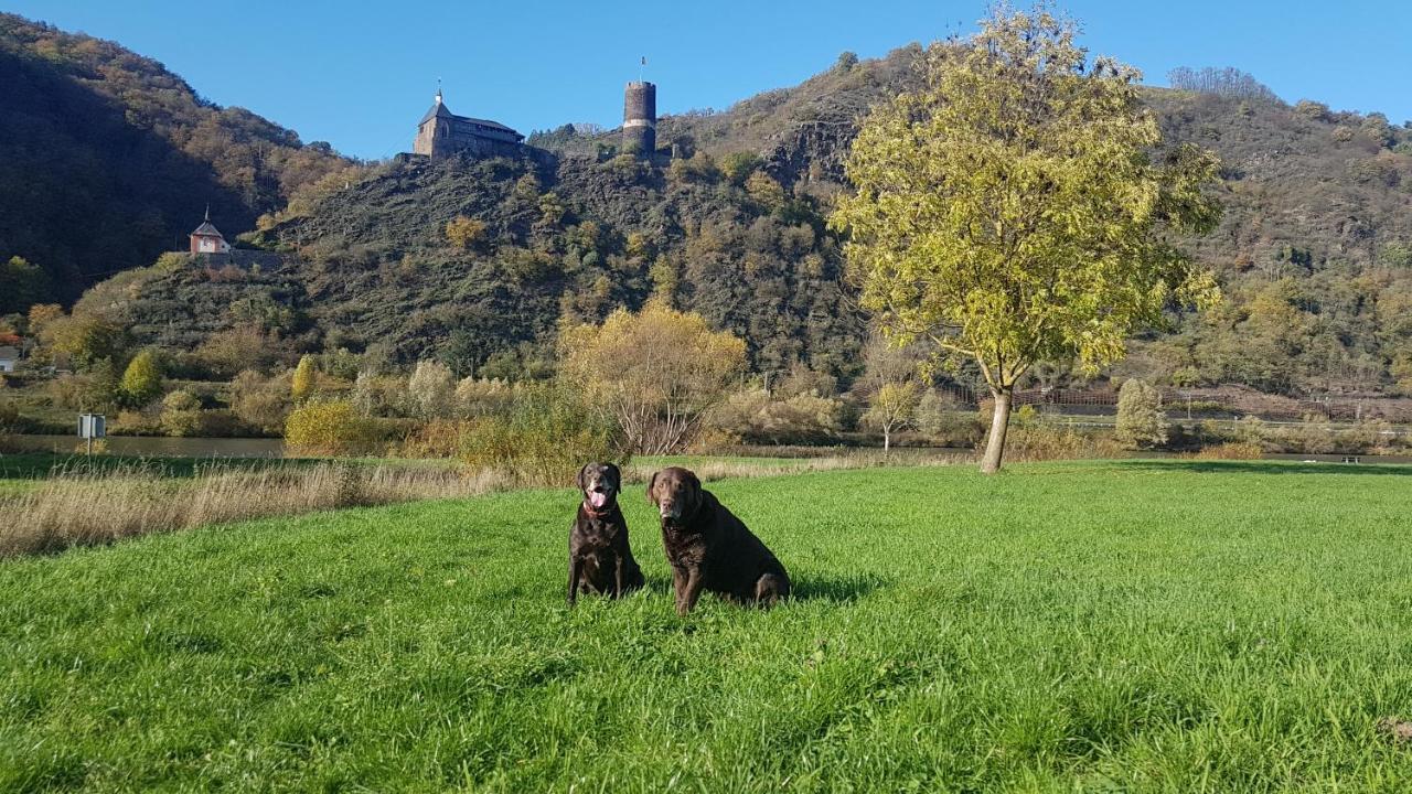 Ferienhaus Leopold Mit Burgblick An Der Mosel บัวร์เกน ภายนอก รูปภาพ