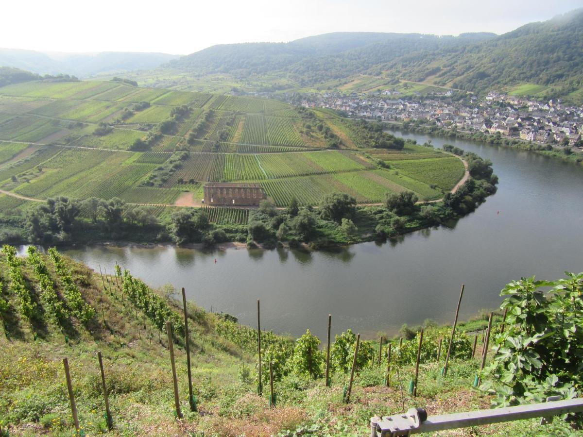 Ferienhaus Leopold Mit Burgblick An Der Mosel บัวร์เกน ภายนอก รูปภาพ
